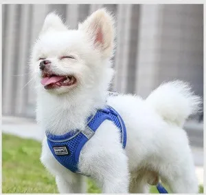 Comfortable Dog Chest Harness with Leash