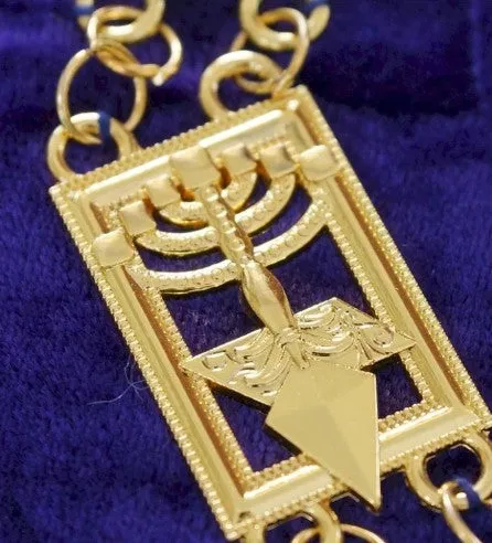 Cryptic Mason - Royal & Select Chain Collar - Gold/Silver On Purple   Free Case