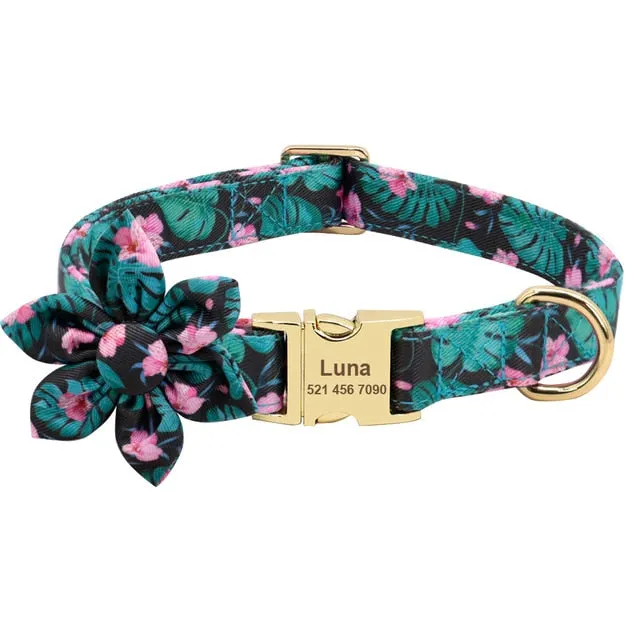 Custom Engraved Dog Collar