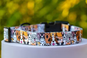Flash Mob Value Range Dog Collar *