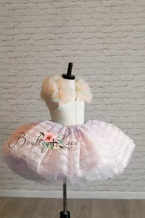 Rainbow ruffles new fits 5-6
